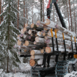 forvarder FR68 puukoormaga