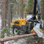 väike harvendusraie harvester tihedas metsas